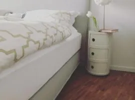 Design apartment with river view