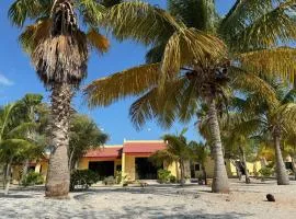 Beachfront department Celestun