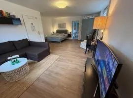 Apartment Regener