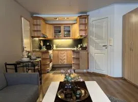 Apartment ØM3