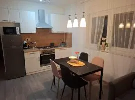 Apartman Roko