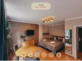 Sali Homes - SM0 charming Apartment short walk from city center of Bayreuth