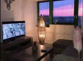 APPARTEMENT T3 65 m2 AVEC VUE PANORAMIQUE