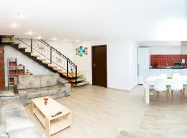 vila elisabeta brasov