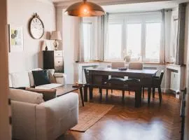 Usti Downtown Horovka Apartment