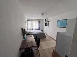 Zentrale 1-Zimmer-Wohnung Marzili Bern