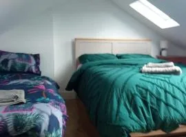 4 Bed Modern Spacious House South Dublin