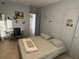 Appartement spacieux centre-ville