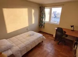 Habitación en el centro de concepción