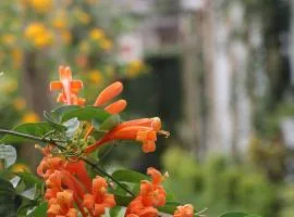 At Home Suites, Moshono Garden Arusha