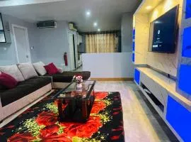 Mus homes