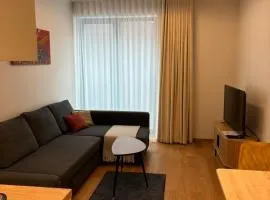 Small apartment near city centre