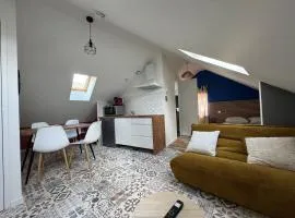 Studio rénover cinq minutes du centre-ville