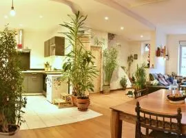 Chaleureuse maison Nancéienne
