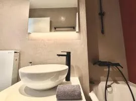 Centre ville appartement vue lac