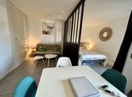 Appart studio 4 couchages SAINT CYPRIEN SC245-004