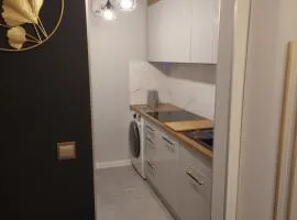Apartament Koszutka