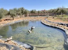 holiday homes ideal for families at IGHIZINN resort