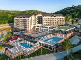 Movenpick Resort and Spa Fruske Terme、ヴルドニークのホテル