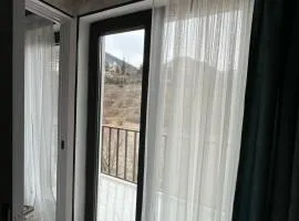New Borjomis house