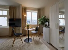 Cozy & Fully Equipped Studio in Eindhoven 1