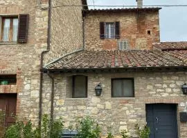 La Gatta sul Tetto
