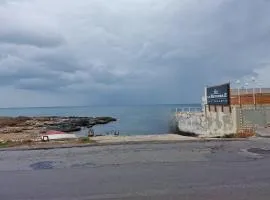 Savito Guest House mare