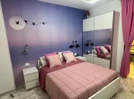 Albatros Rooms