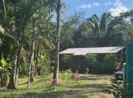 Stunning Jungle Refuge Close to Town, hotel v destinaci Bullet Tree Falls