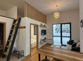 Terase Zlatibor apartmant 115