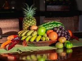 Fincas Panaca Private Pool BBQ Zone