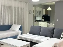 Elsa home