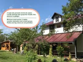 Casa BRA Viștișoara
