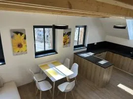 Apartmány U Buku