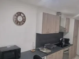 Bel appartement Belfort centre-Gare