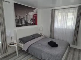 Garden Self Contained Studio in London