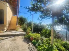 Guest House Borshi