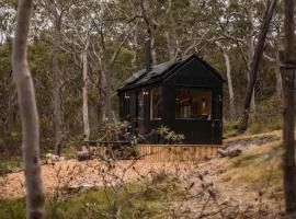 Secluded Forest Cabin with No Reception - Mira