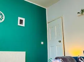 IVY GREEN HOUSE - SLEEPS upto 7, CENTRAL LOCATION, WIFI, NETFLIX, PARKING - NEWLY DECORATED