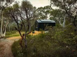 Remote Off-Grid Cabin Hidden in the Bush - Fern