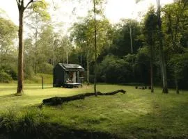 Unyoked Dungog - Hunter Region - Jazz