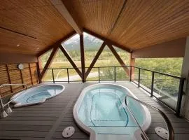 Top FL 2BR 2BA Hot Tubs phenomenal mountain views