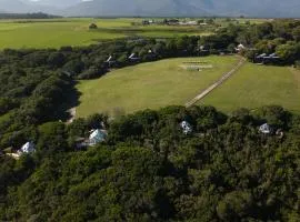 The Hive - Sunset at Misty Mountain Reserve