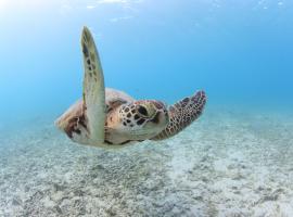 Tokashiku Marine Villege, hotel v destinaci Tokašiki