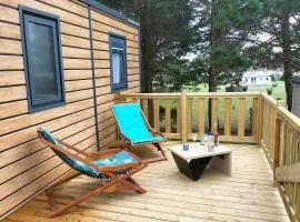 Chalet baie de Canche dans la pinède