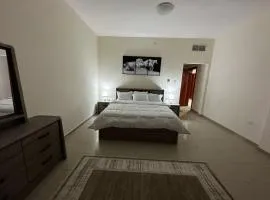 الديوان