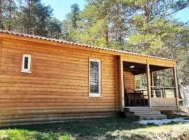 Chalet 2 étoiles - Piscine - ccbaeia