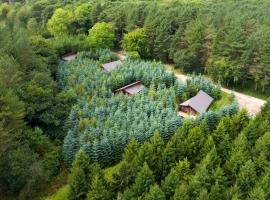 Delamere Forest Cabins - Forest Holidays, hotel v destinaci Mouldsworth
