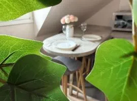 Appartement Strasbourg Centre