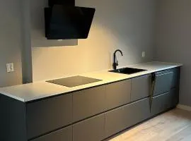 Downtown 2-bedroom apartment